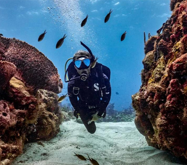 image-scuba